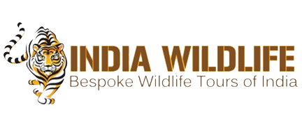 Lindia Wildlife