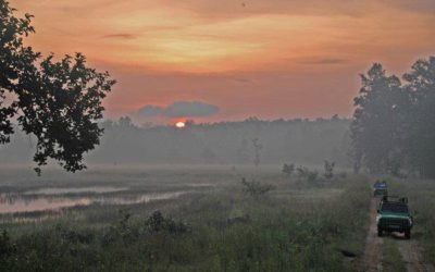 Kanha National Park